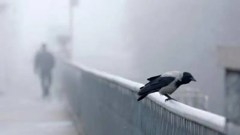 В шести областях Казахстана объявлено штормовое предупреждение