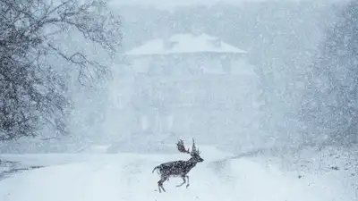 Штормовое предупреждение объявлено в Астане, Алматы и ряде областей страны, фото - Новости Zakon.kz от 20.02.2023 20:29