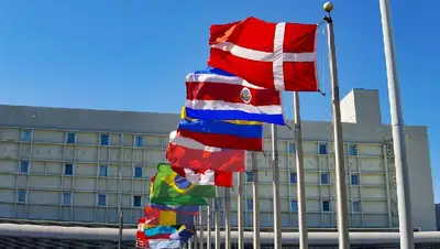 флаги, фото - Новости Zakon.kz от 13.02.2022 08:24