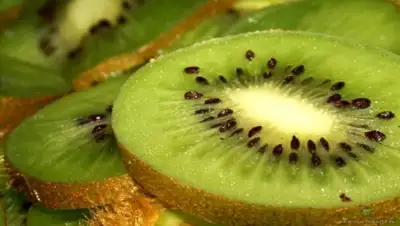 Zakon.kz, фото - Новости Zakon.kz от 12.11.2014 15:22