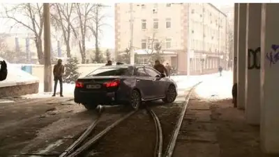 ГО "Зупини лося", фото - Новости Zakon.kz от 16.02.2021 13:30