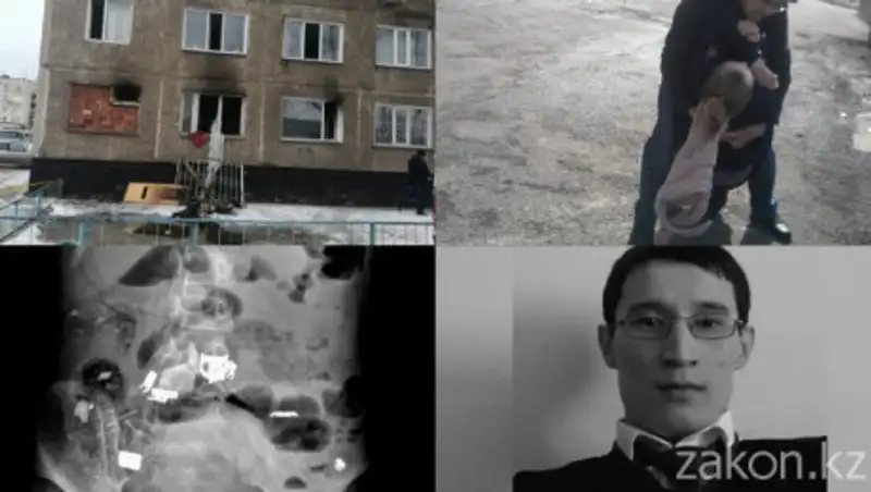 Итоги недели: нападение волка, взрыв и истории из больниц