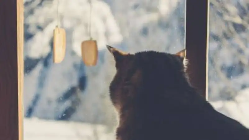 Прогноз погоды на 9 апреля в Казахстане