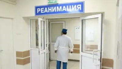 Zakon.kz, фото - Новости Zakon.kz от 08.09.2017 11:20