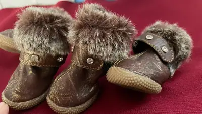 обувь для животных , фото - Новости Zakon.kz от 15.03.2022 09:24