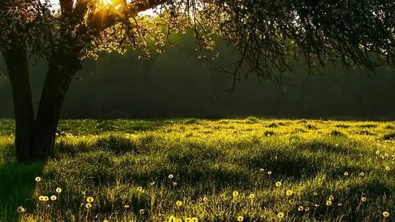 Какая погода ожидается в ближайшие дни в трех мегаполисах Казахстана