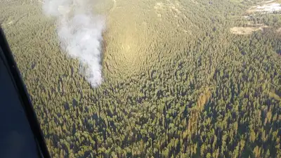 пожар ВКО, фото - Новости Zakon.kz от 18.06.2023 09:33