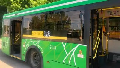 zakon.kz, фото - Новости Zakon.kz от 02.06.2019 16:45