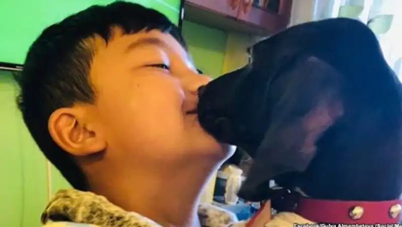 В Кыргызстане впервые осудили обвиняемого в похищении собаки