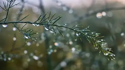 Алматы, ДЧС, фото - Новости Zakon.kz от 28.07.2022 16:18