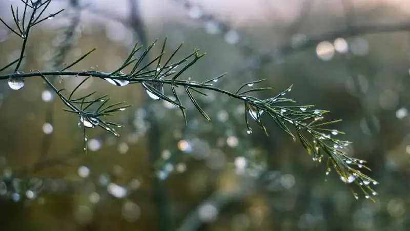 ДЧС обратился к алматинцам из-за сильного дождя в горах