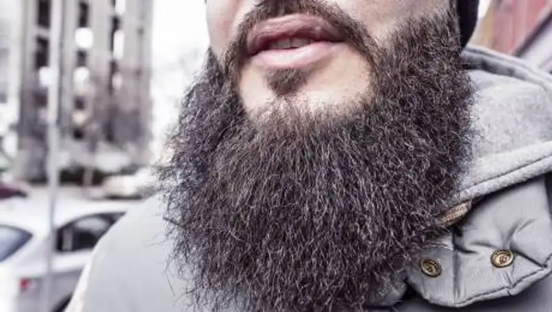 Борода защищает от ударов - названы лауреаты "Шнобелевской премии"