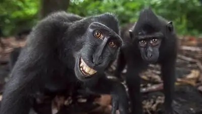 Zakon.kz, фото - Новости Zakon.kz от 07.12.2016 22:50