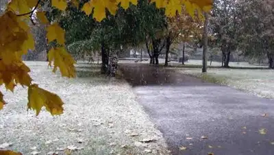 inform.kz, фото - Новости Zakon.kz от 21.10.2020 16:26