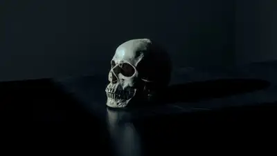 pixabay.com, фото - Новости Zakon.kz от 29.08.2019 21:40