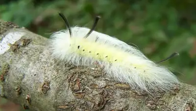 Zakon.kz, фото - Новости Zakon.kz от 18.11.2014 18:06