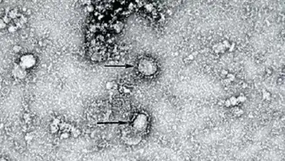 РИАНовости, фото - Новости Zakon.kz от 29.01.2020 06:55