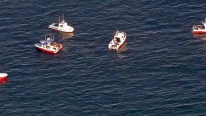 Над Тихим океаном столкнулись два легкомоторных самолета