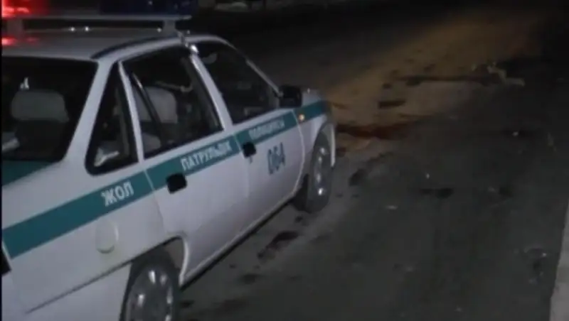 Алматинский "шумахер" сбил насмерть трех лошадей