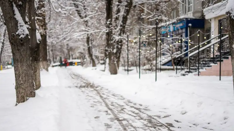 Алматинцев призвали не парковать авто под деревьями