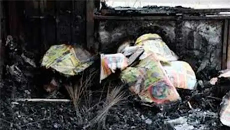 Одна женщина погибла, одна пострадала в результате пожара в цветочном павильоне в Астане, фото - Новости Zakon.kz от 26.11.2013 15:52