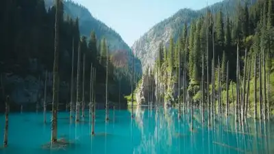 toppress.kz, фото - Новости Zakon.kz от 14.04.2021 19:50