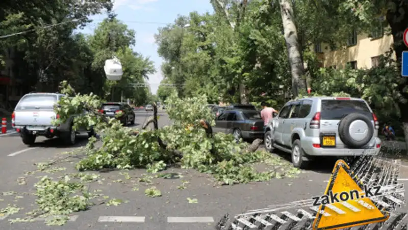 Ветка упала на машину в Алматы, порваны провода, движение затруднено
