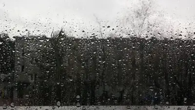 pixabay.com, фото - Новости Zakon.kz от 12.11.2021 22:26