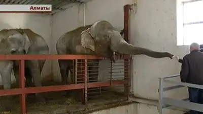 Zakon.kz, фото - Новости Zakon.kz от 02.12.2015 05:48