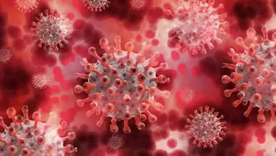 Stadt-Blatt Verlag, фото - Новости Zakon.kz от 14.07.2020 00:18