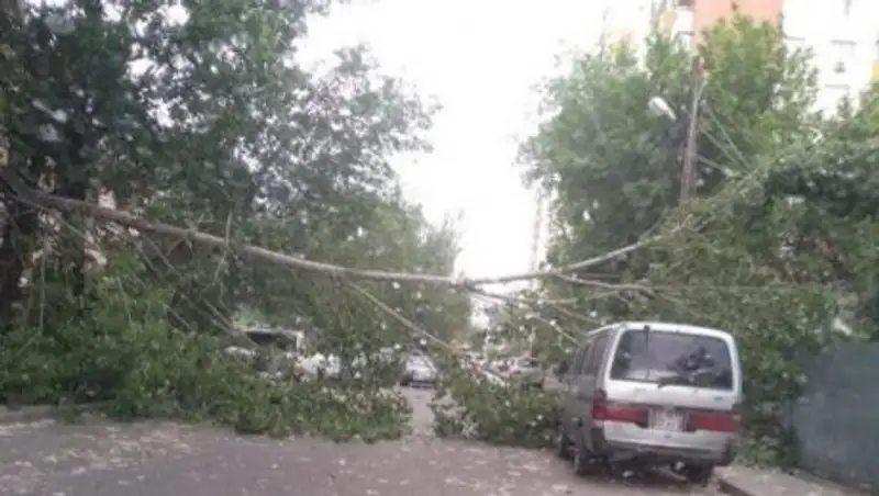 Сколько средств потребуется на восстановление Алматы после урагана