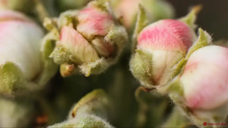 11 апреля казахстанцев ожидает погода без осадков