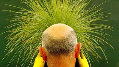 Peter Macdiarmid / Reuters, фото - Новости Zakon.kz от 31.07.2018 10:27