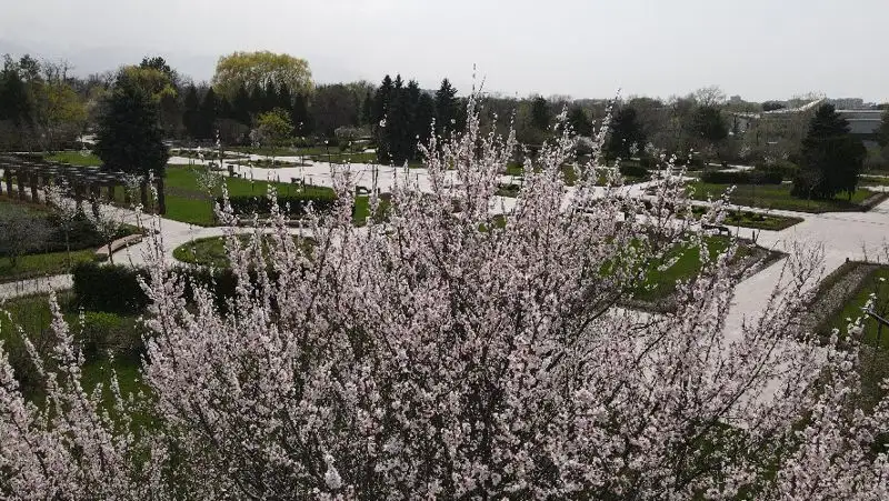 Синоптики рассказали, какая погода ожидает казахстанцев 19 апреля