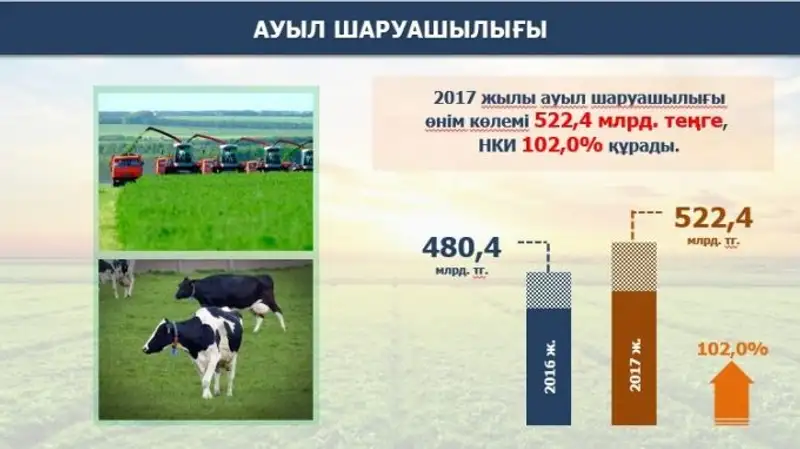 , фото - Новости Zakon.kz от 29.01.2018 15:20