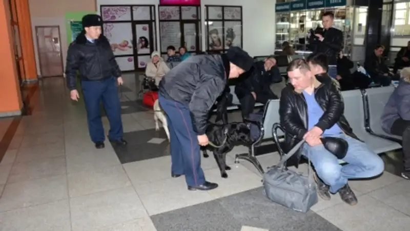 За три дня транспортные полицейские раскрыли 10 ранее совершенных преступлений