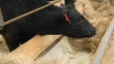 управление внутренней политики Акмолинской области, фото - Новости Zakon.kz от 14.07.2018 18:48