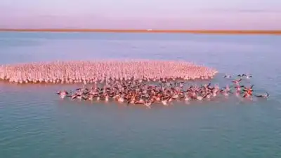 YouTube, фото - Новости Zakon.kz от 17.11.2020 21:28