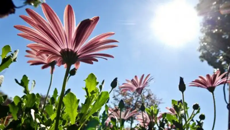 В среду синоптики обещают погоду без осадков