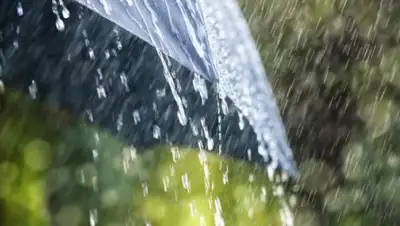 obk.kz, фото - Новости Zakon.kz от 07.06.2018 09:30