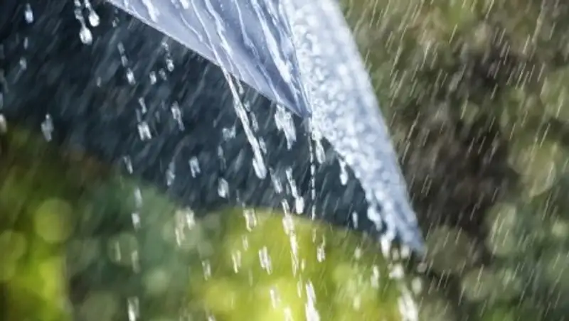 Дожди с грозами пройдут на большей части Казахстана