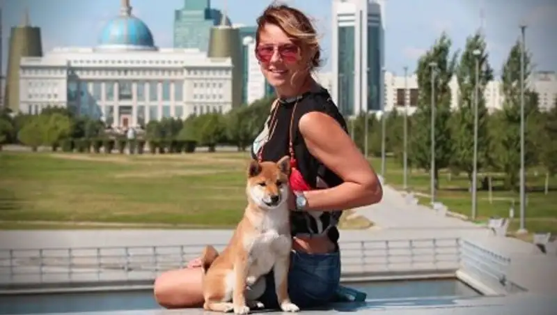 Владельцы лишаются собак из-за фейерверков