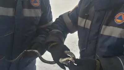 24.kz, фото - Новости Zakon.kz от 05.12.2018 07:26