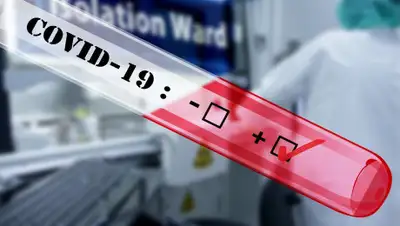 Pixabay, фото - Новости Zakon.kz от 31.05.2020 01:22