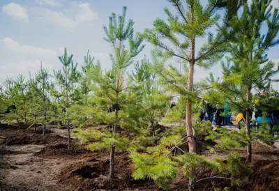 gov.kz, фото - Новости Zakon.kz от 09.11.2021 15:26