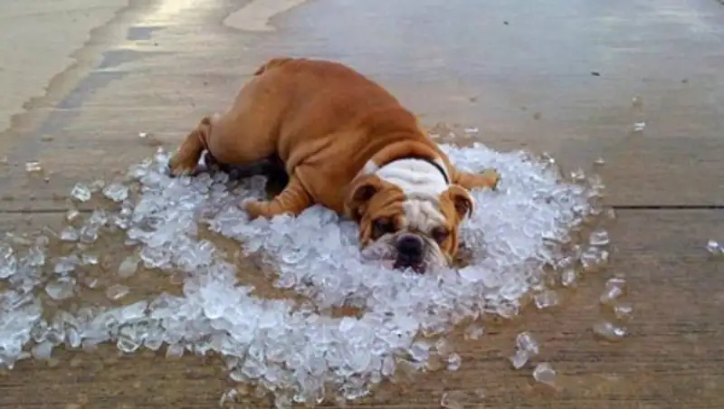 16 июля в РК сохранится жаркая погода без осадков