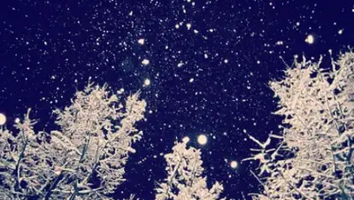 redpost.com, фото - Новости Zakon.kz от 23.01.2020 06:04