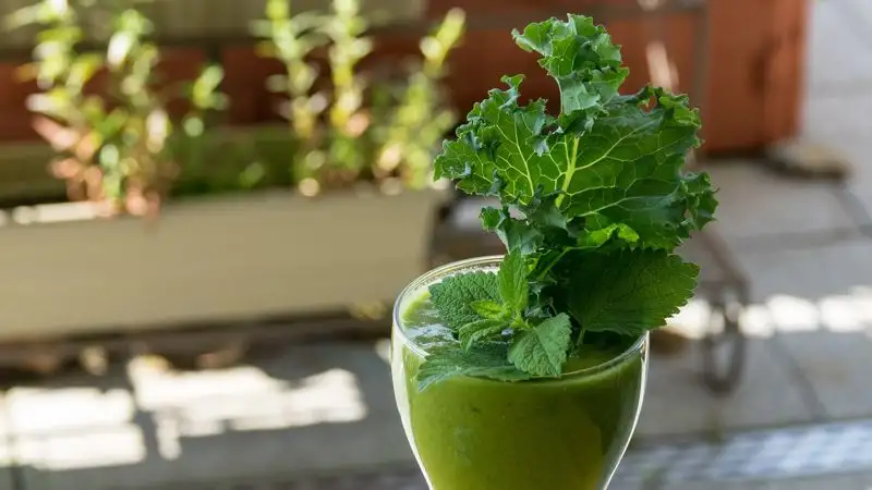 Гастроэнтеролог раскрыла полезные свойства зелени
