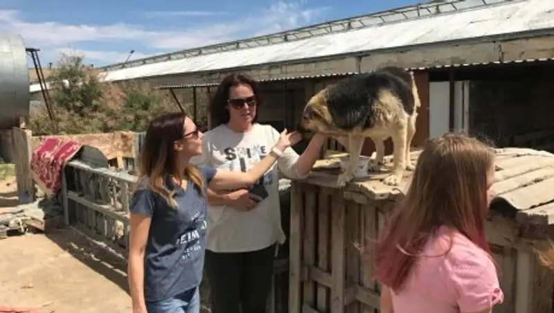 Сотрудники «Казмортрансфлота» помогли бездомным животным