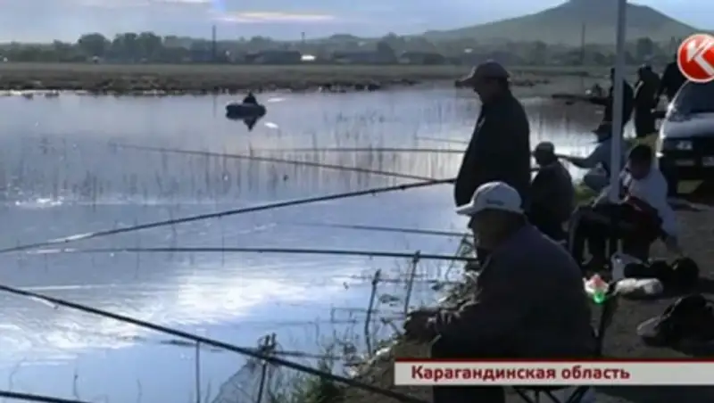 Карагандинцы ловят рыбу в луже